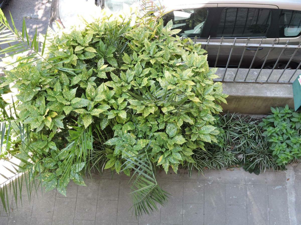 Nice/Nizza : Apartment מראה חיצוני תמונה