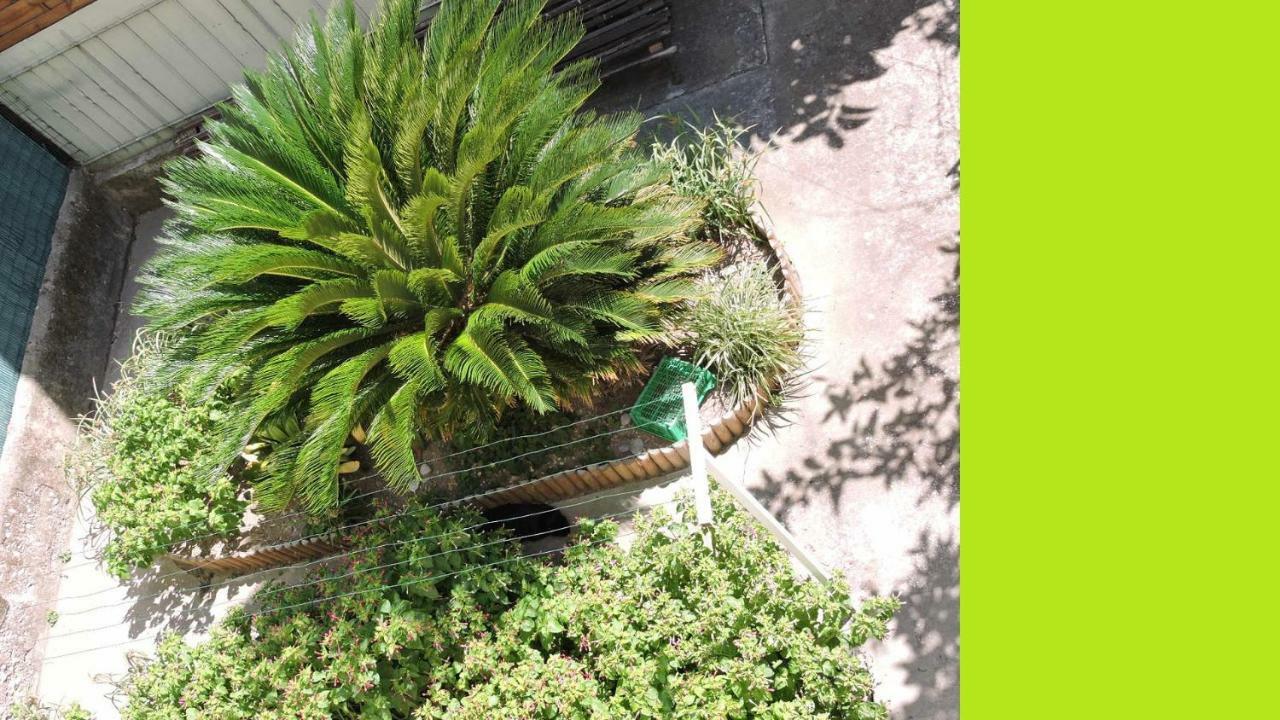 Nice/Nizza : Apartment מראה חיצוני תמונה